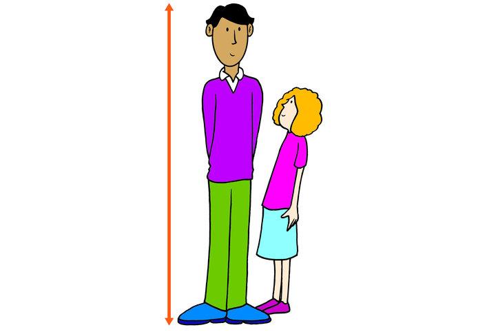 Extended family representation - MiWayLife, 2023